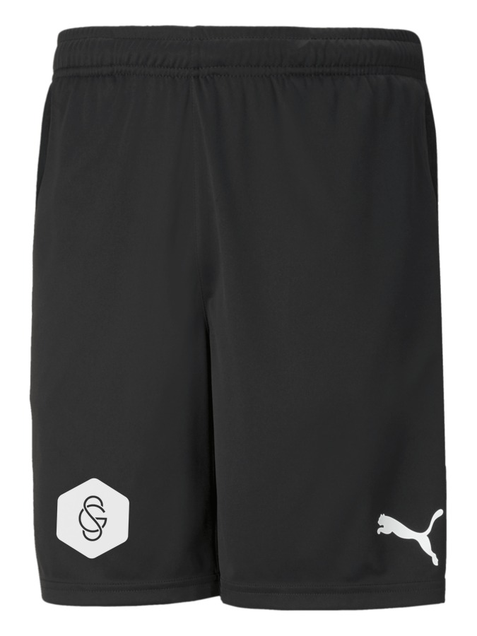 PUMA teamRISE Training Shorts