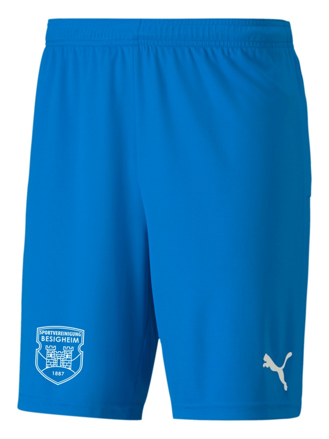PUMA teamGOAL 23 Knit Shorts