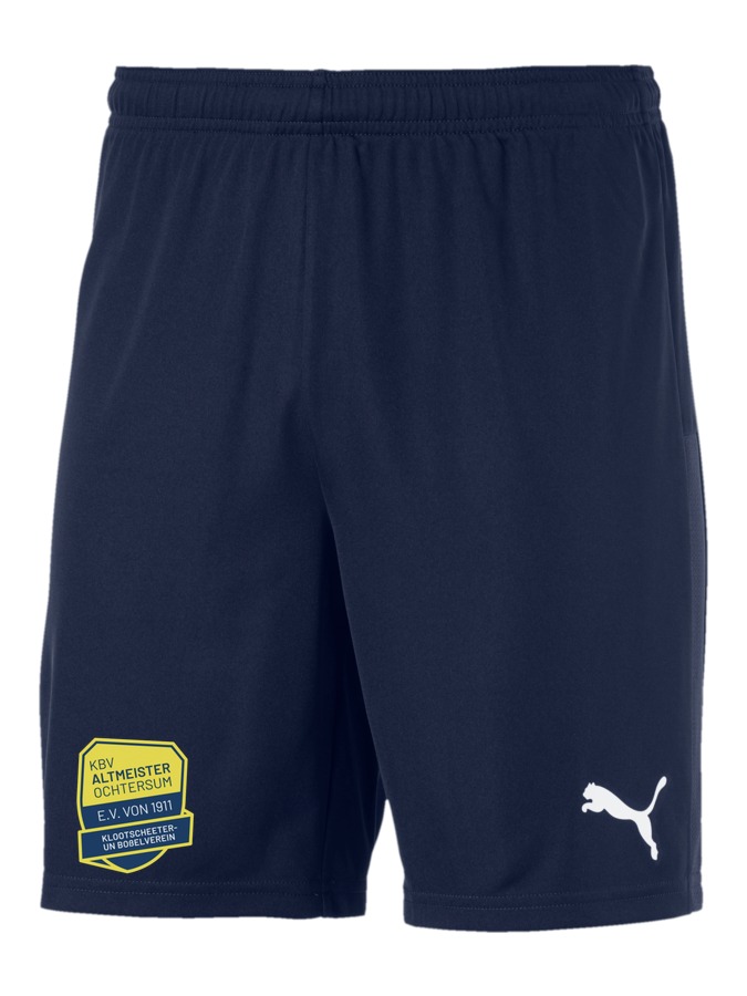 PUMA teamGOAL 23 Knit Shorts