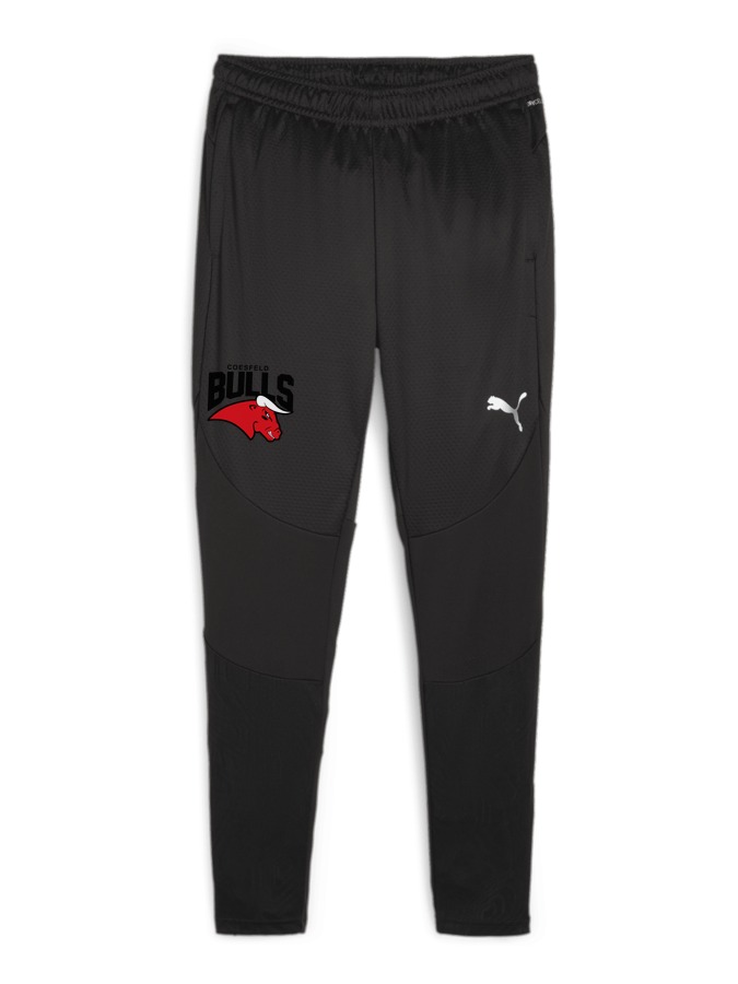 PUMA teamFINAL Trainingshose