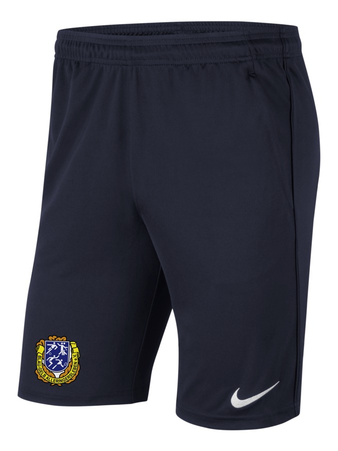 Nike Park 20 Knit Shorts