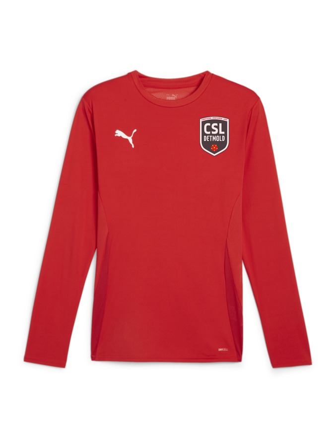 PUMA teamGOAL Longsleeve Trikot