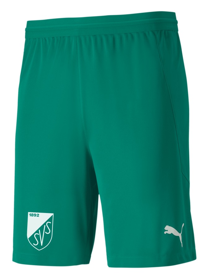 PUMA teamFINAL 21 Knit Shorts