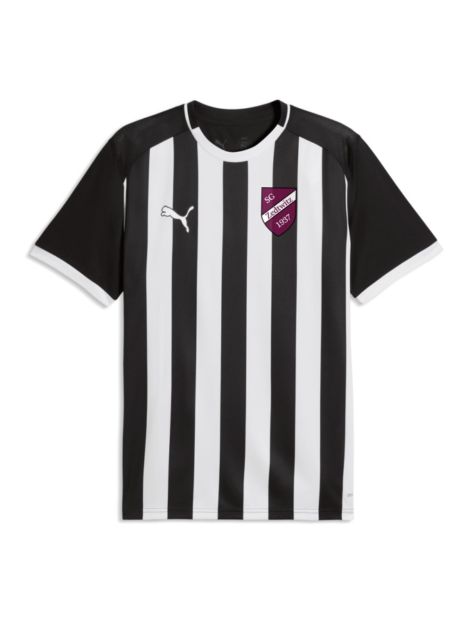 PUMA teamLIGA26 Striped Trikot