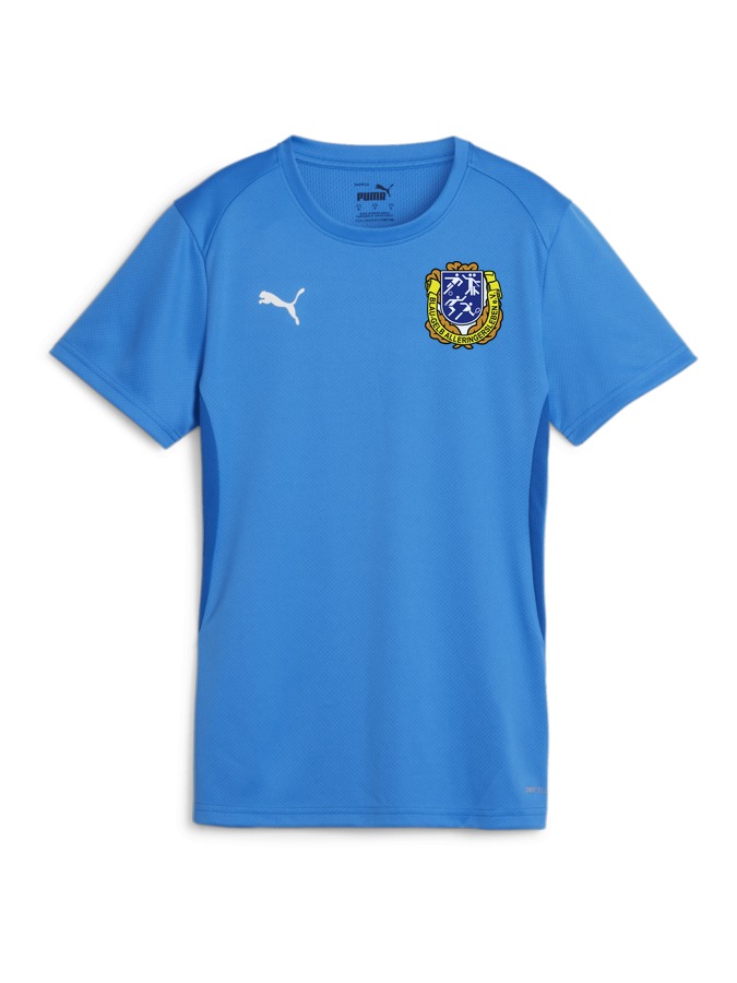 PUMA teamGOAL Trikot Damen