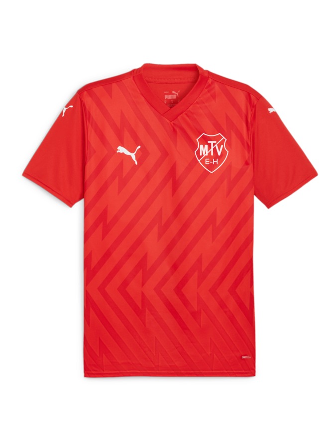 PUMA teamGLORY Trikot