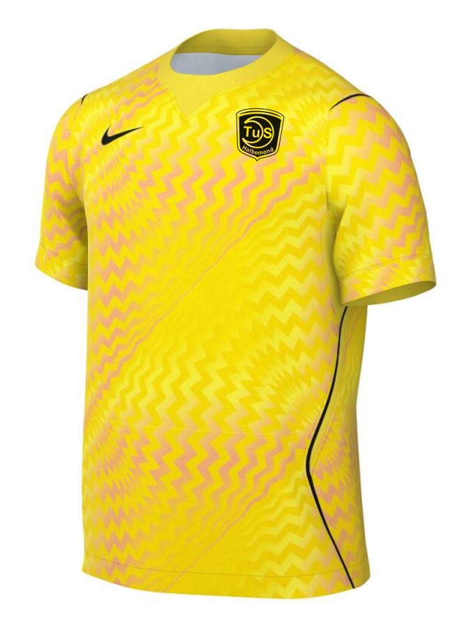 Nike Gardien VI Torwart Trikot