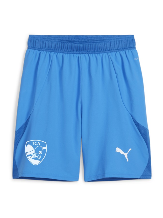 PUMA teamFINAL Shorts