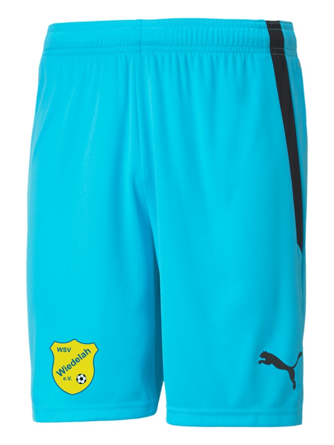 PUMA teamLIGA Shorts