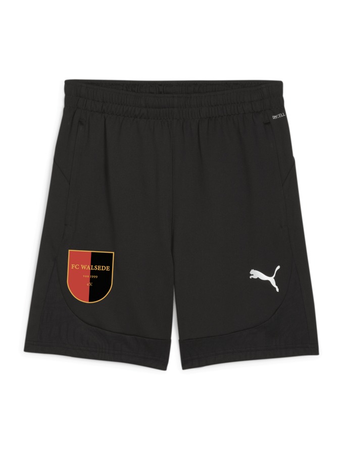 PUMA teamFINAL Training Shorts