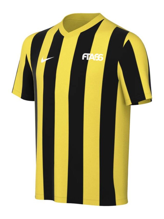 Nike Striped Division V Trikot Kinder