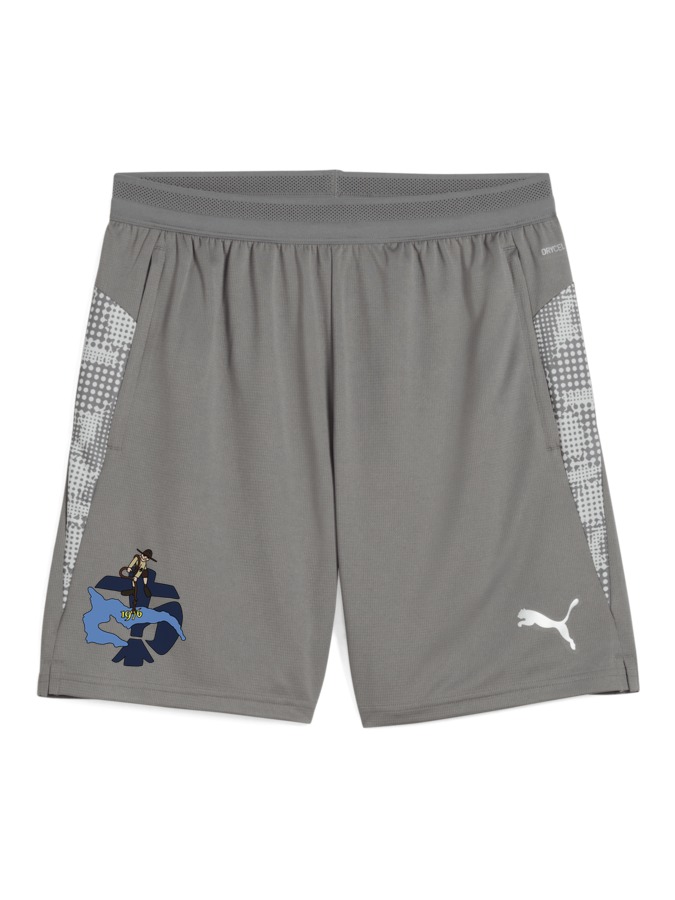 PUMA teamCUP Training Shorts