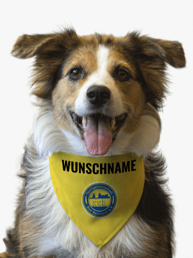 Hundehalstuch
