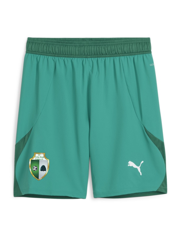 PUMA teamFINAL Shorts