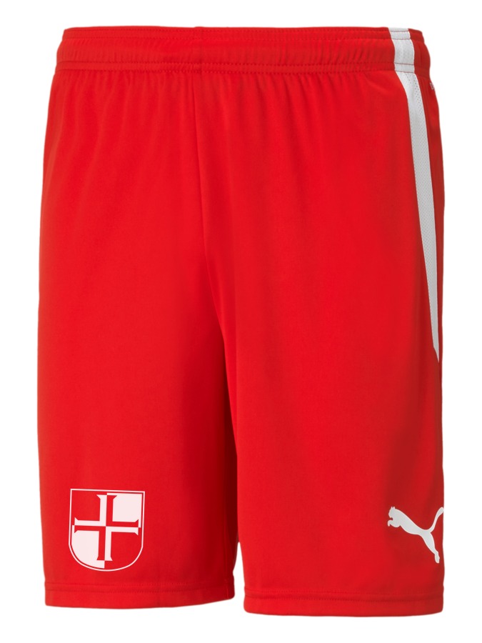 PUMA teamLIGA Shorts