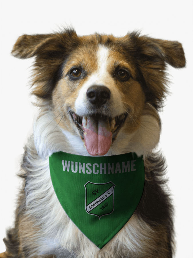 Hundehalstuch