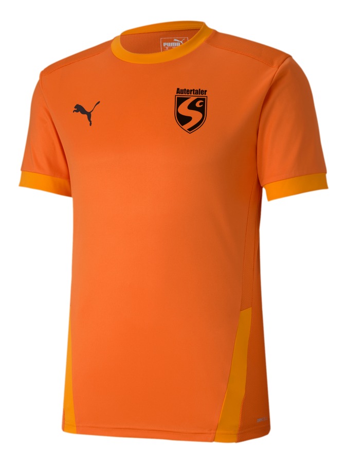 PUMA teamGOAL 23 Trikot