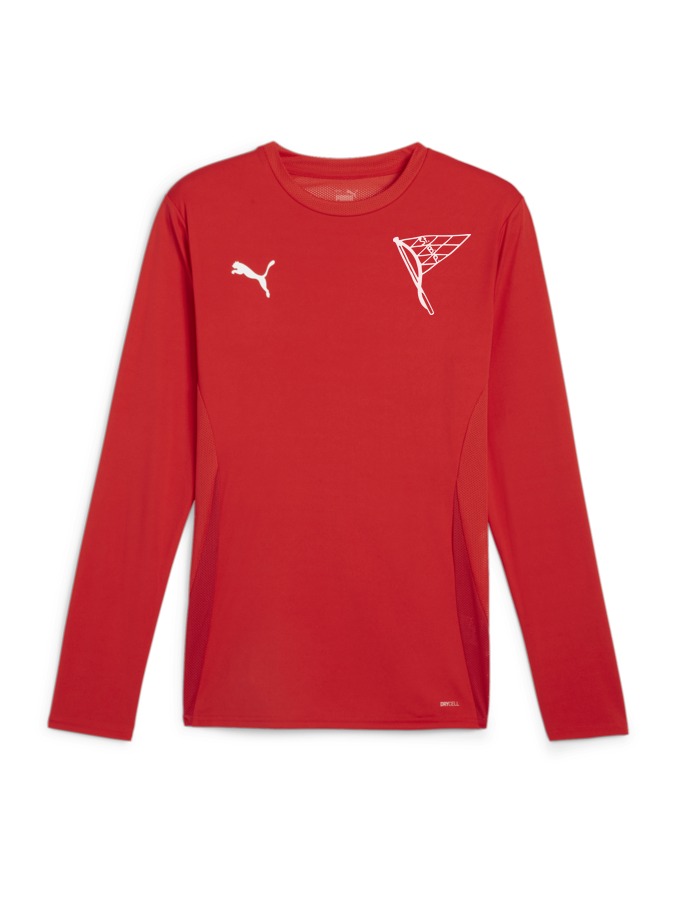 PUMA teamGOAL Longsleeve Trikot