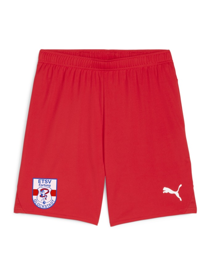 PUMA teamGOAL Shorts