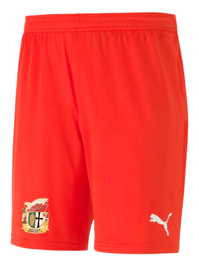 PUMA teamGOAL 23 Knit Shorts