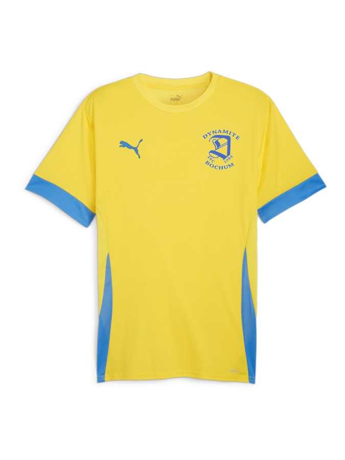 PUMA teamGOAL Matchday Trikot