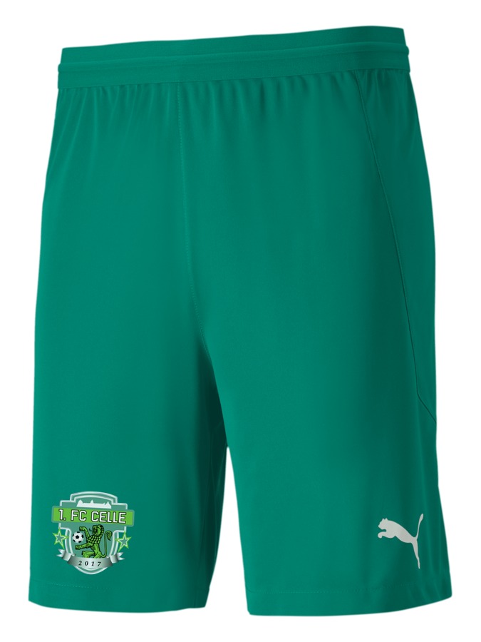 PUMA teamFINAL 21 Knit Shorts
