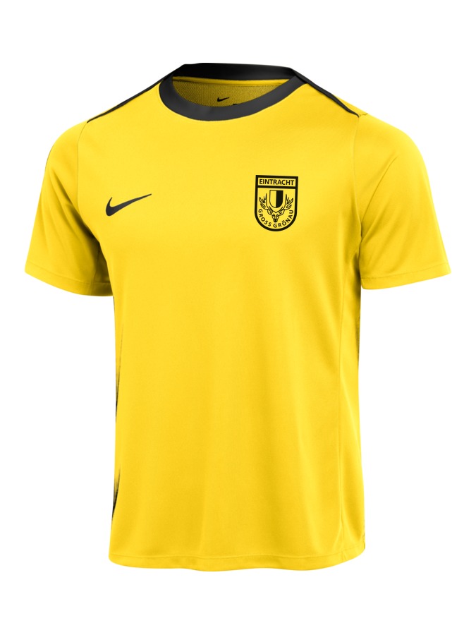 Nike Academy Pro 24 T-Shirt Herren