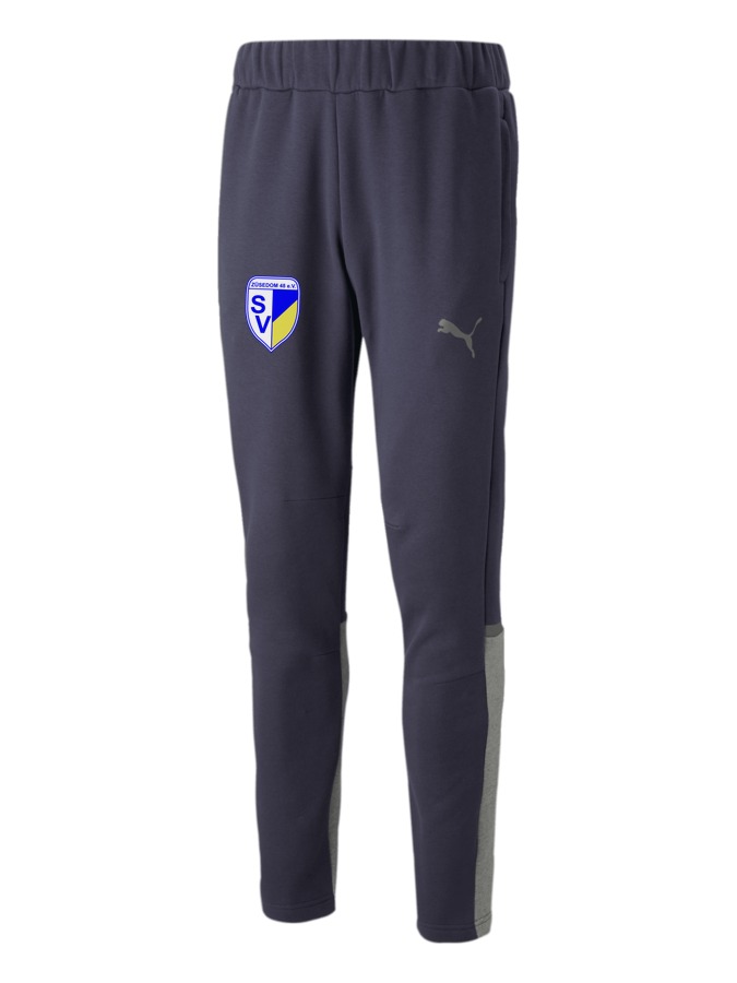 PUMA teamCUP Casuals Hose