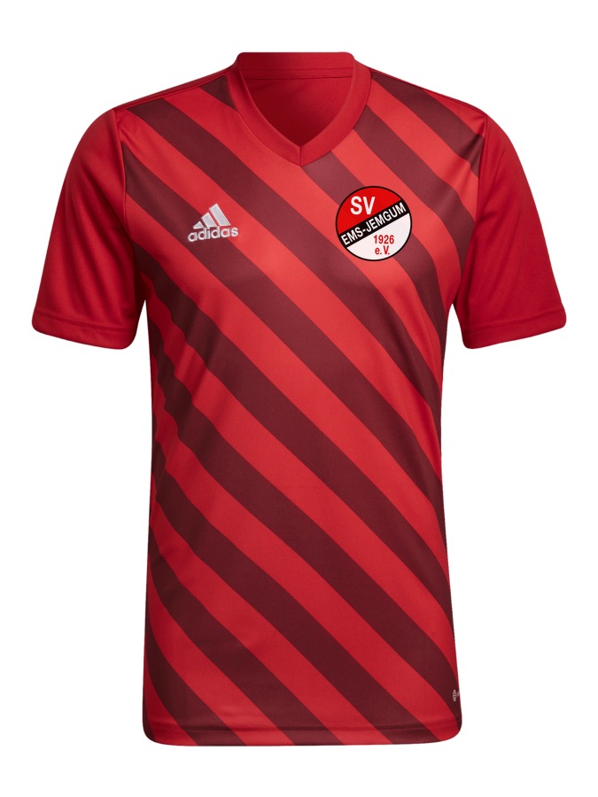 adidas Entrada 22 GFX Trikot