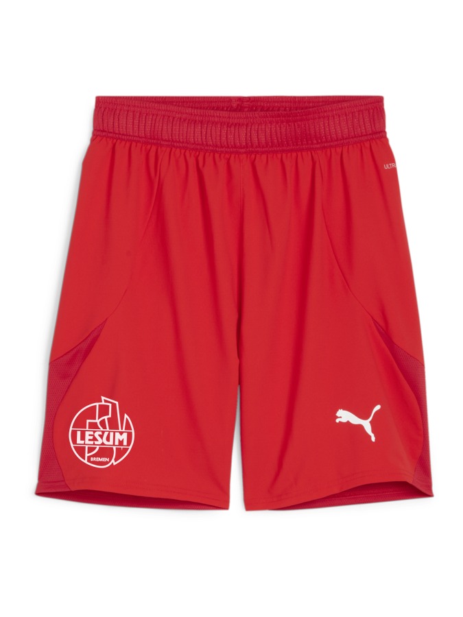 PUMA teamFINAL Shorts