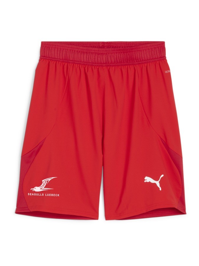 PUMA teamFINAL Shorts