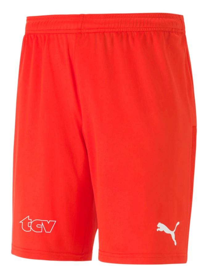 PUMA teamGOAL 23 Knit Shorts
