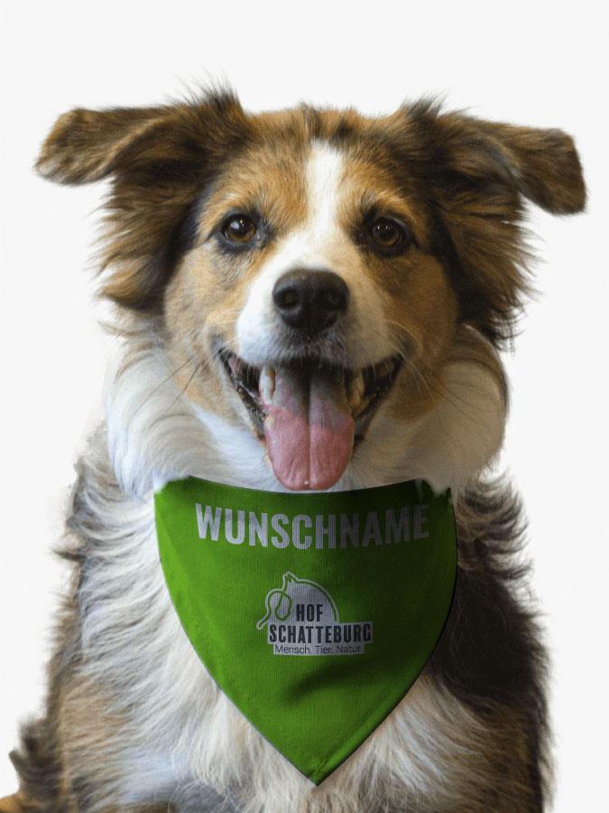 Hundehalstuch