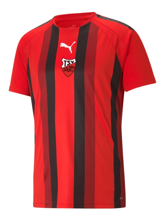 PUMA teamLIGA Striped Trikot