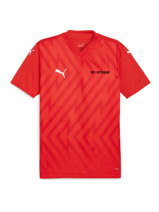 PUMA teamGLORY Trikot