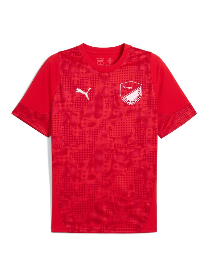 PUMA teamCUP Trainingsshirt