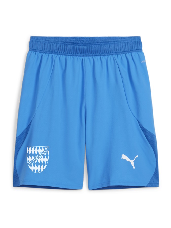 PUMA teamFINAL Shorts