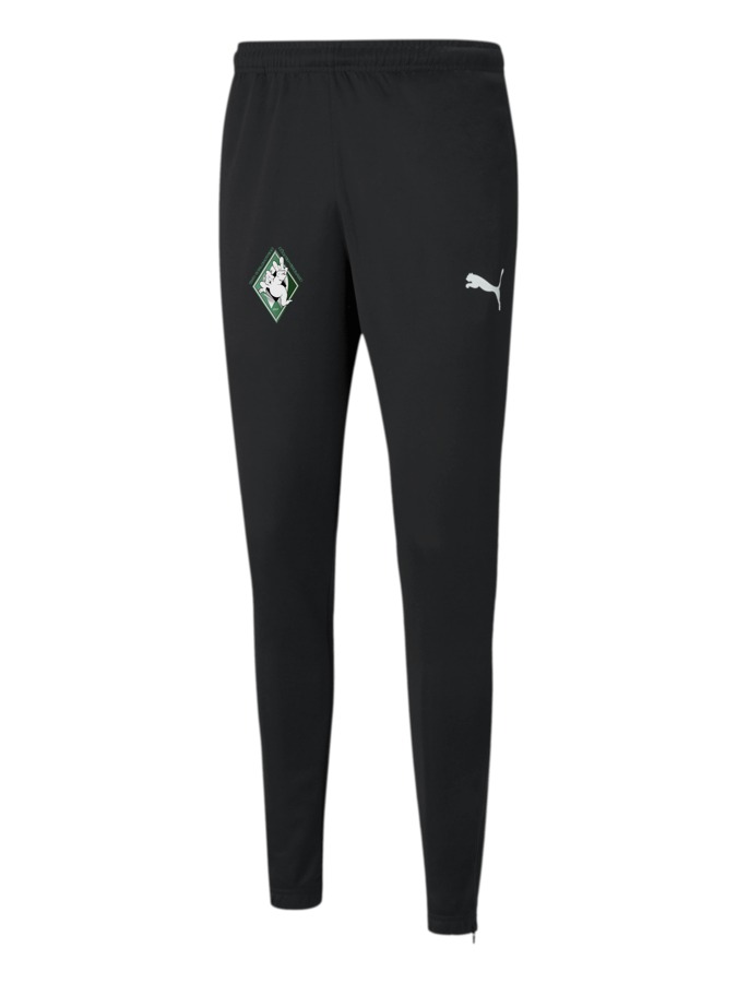 PUMA teamRISE Poly Trainingshose