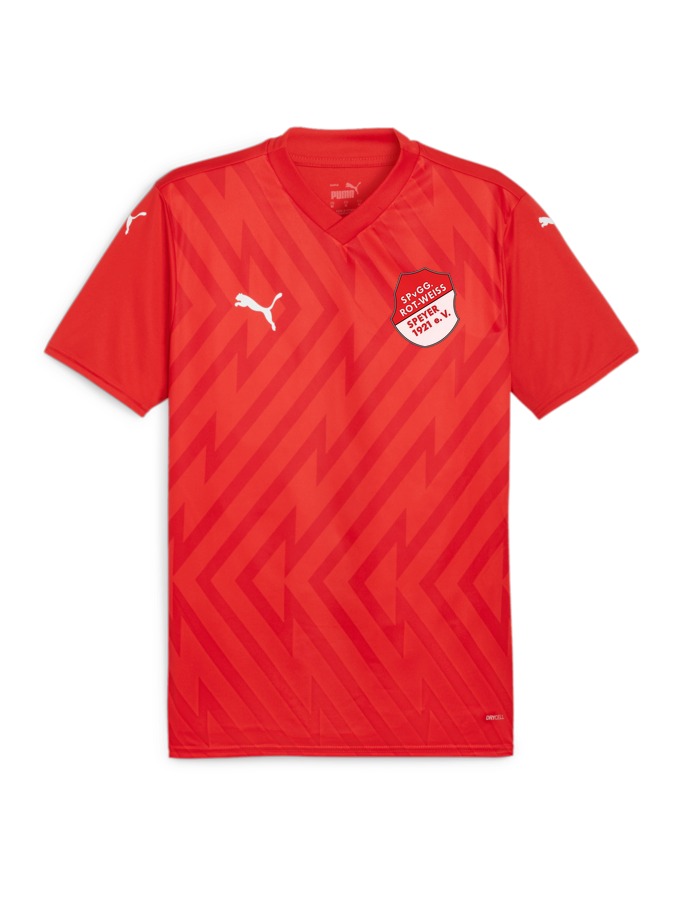PUMA teamGLORY Trikot