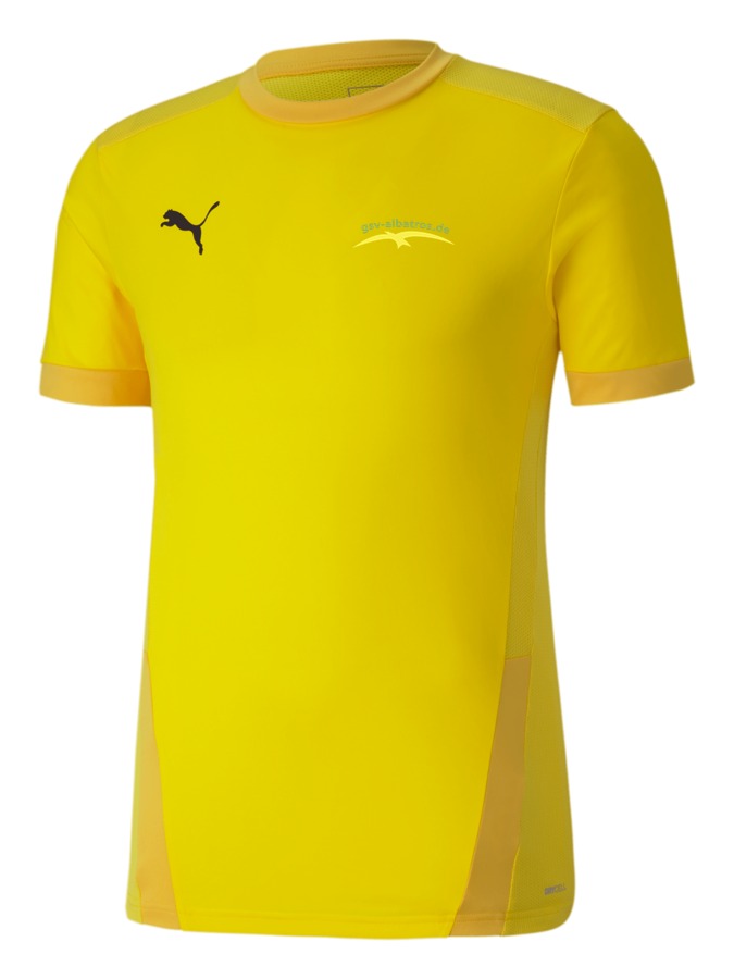 PUMA teamGOAL 23 Trikot