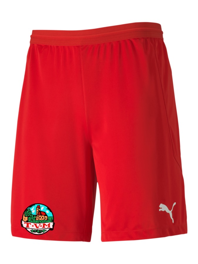 PUMA teamFINAL 21 Knit Shorts