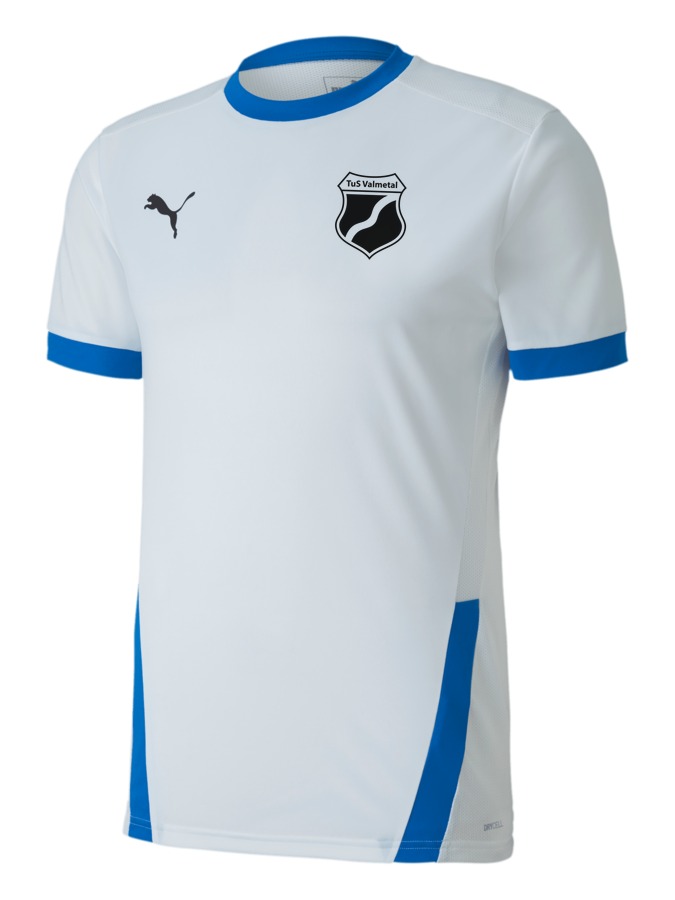 PUMA teamGOAL 23 Trikot