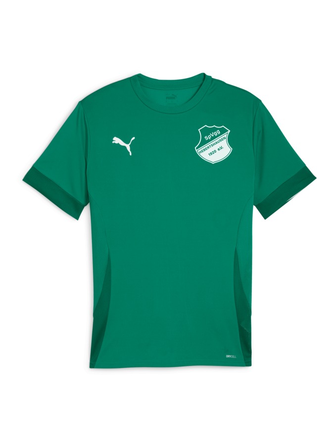 PUMA teamGOAL Matchday Trikot