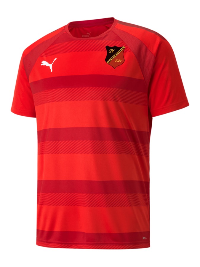 PUMA teamVISION Trikot