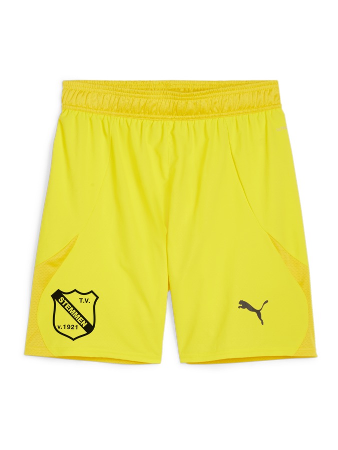PUMA teamFINAL Shorts
