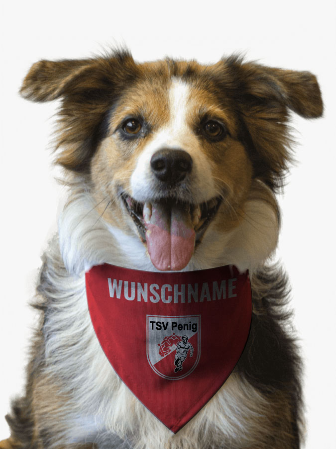 Hundehalstuch