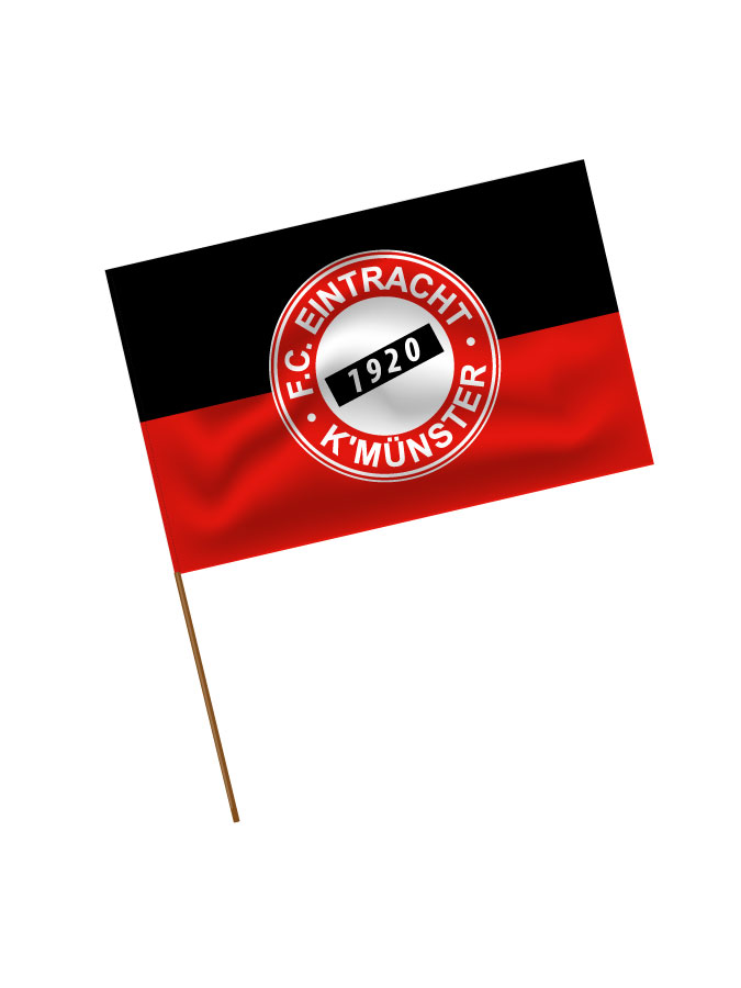 Stadionfahne Logo