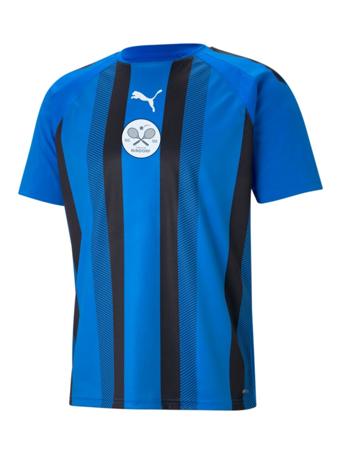 PUMA teamLIGA Striped Trikot