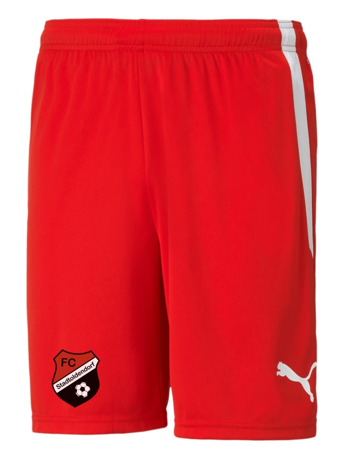 PUMA teamLIGA Shorts