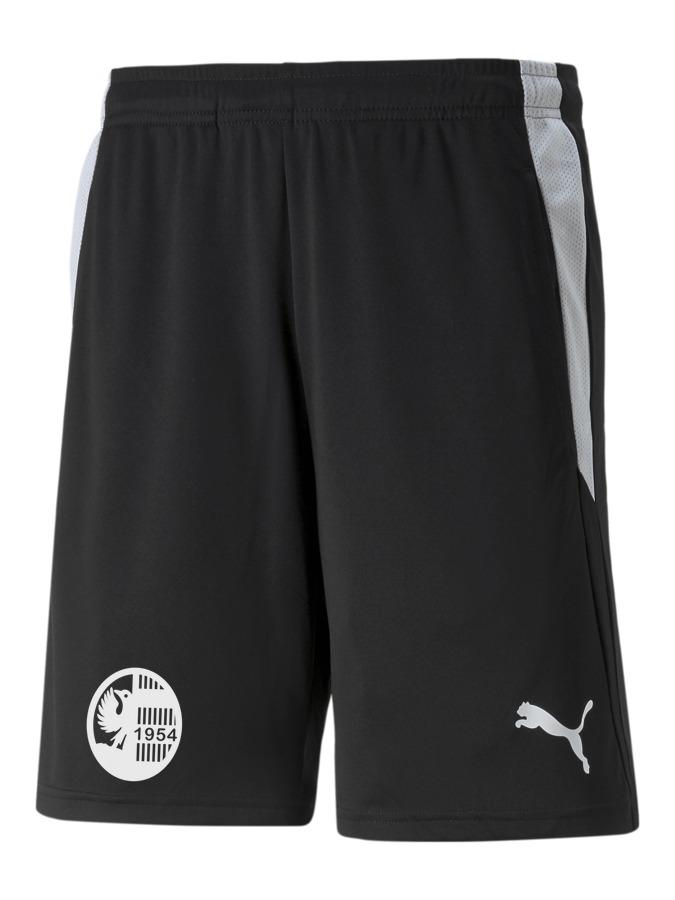 PUMA teamLIGA Referee Shorts